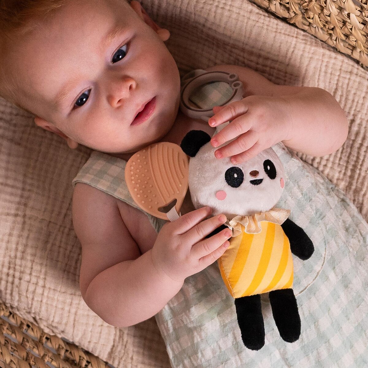 Activity Toy - Pamela