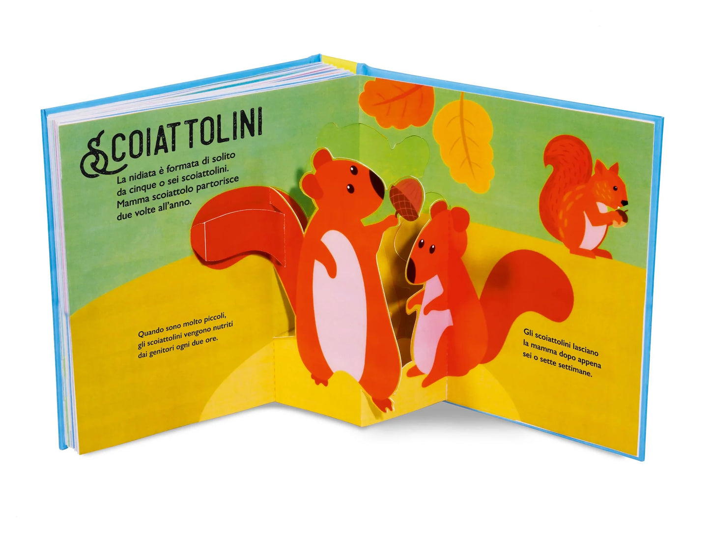 Cuccioli Pop up