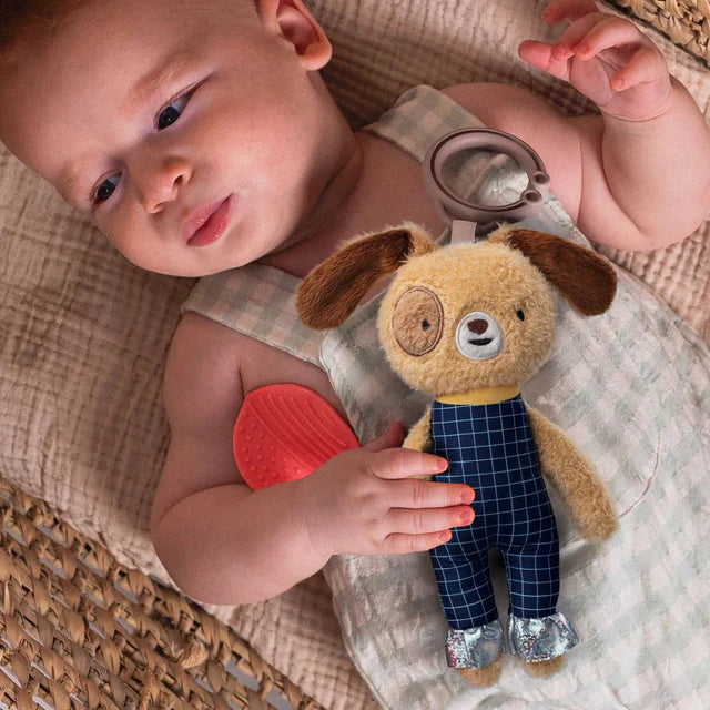 Activity Toy - Daniel