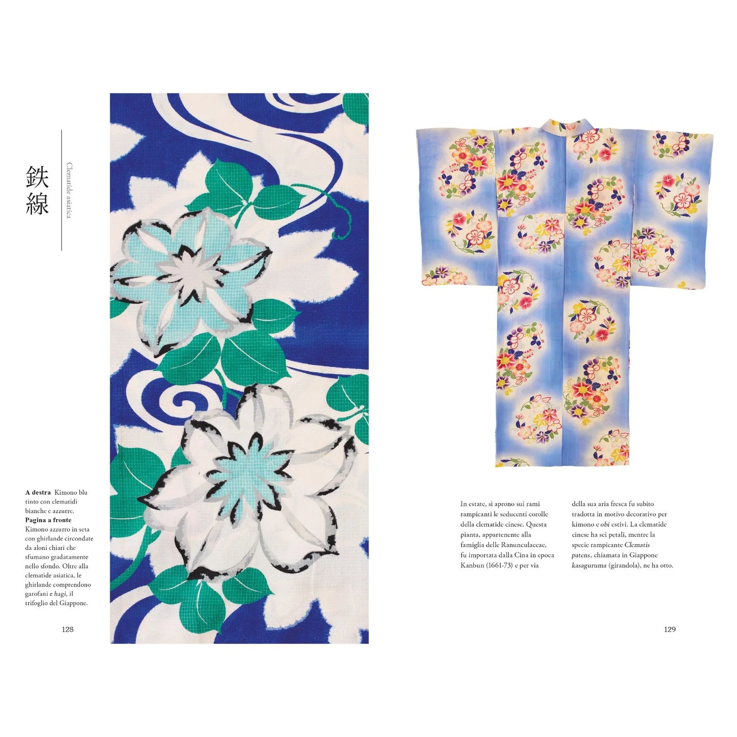 Il linguaggio del kimono