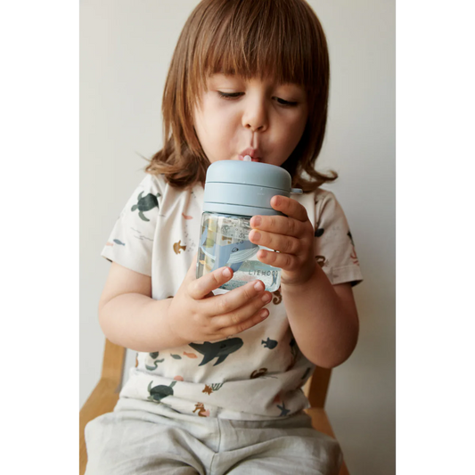 Pavia Cup - Sea Creature