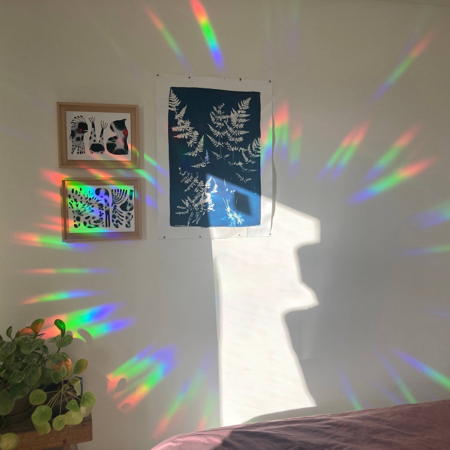 Rainbow Maker - Rallenta