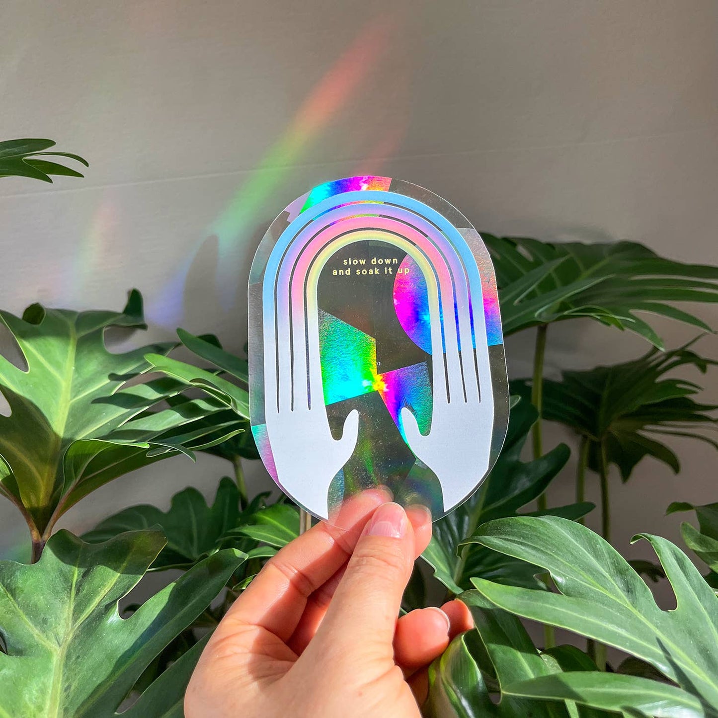 Rainbow Maker - Rallenta
