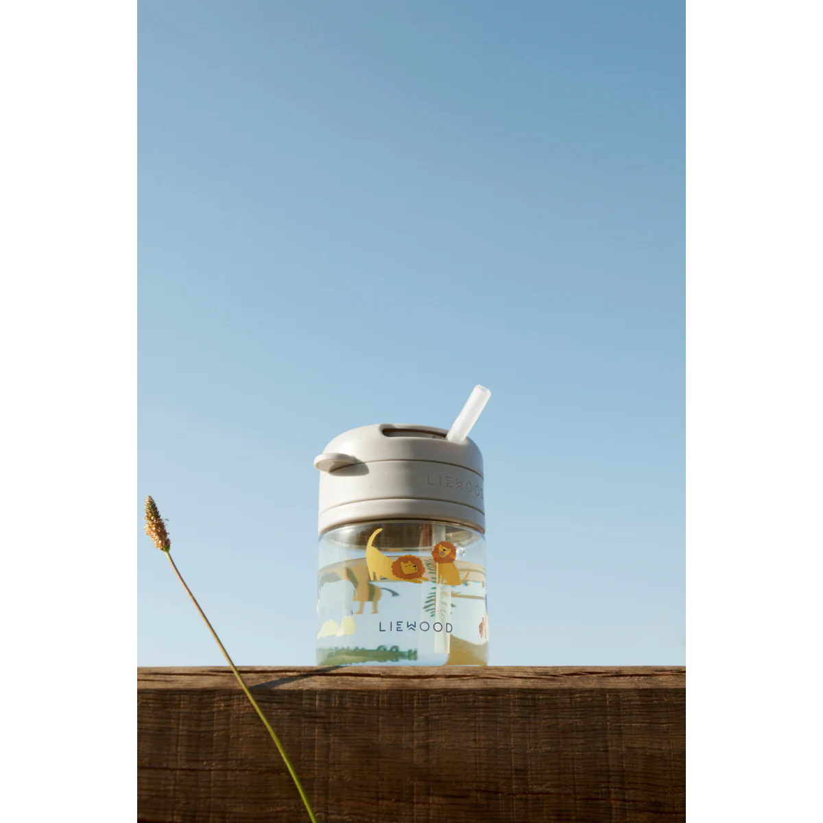 Pavia Cup - All Together