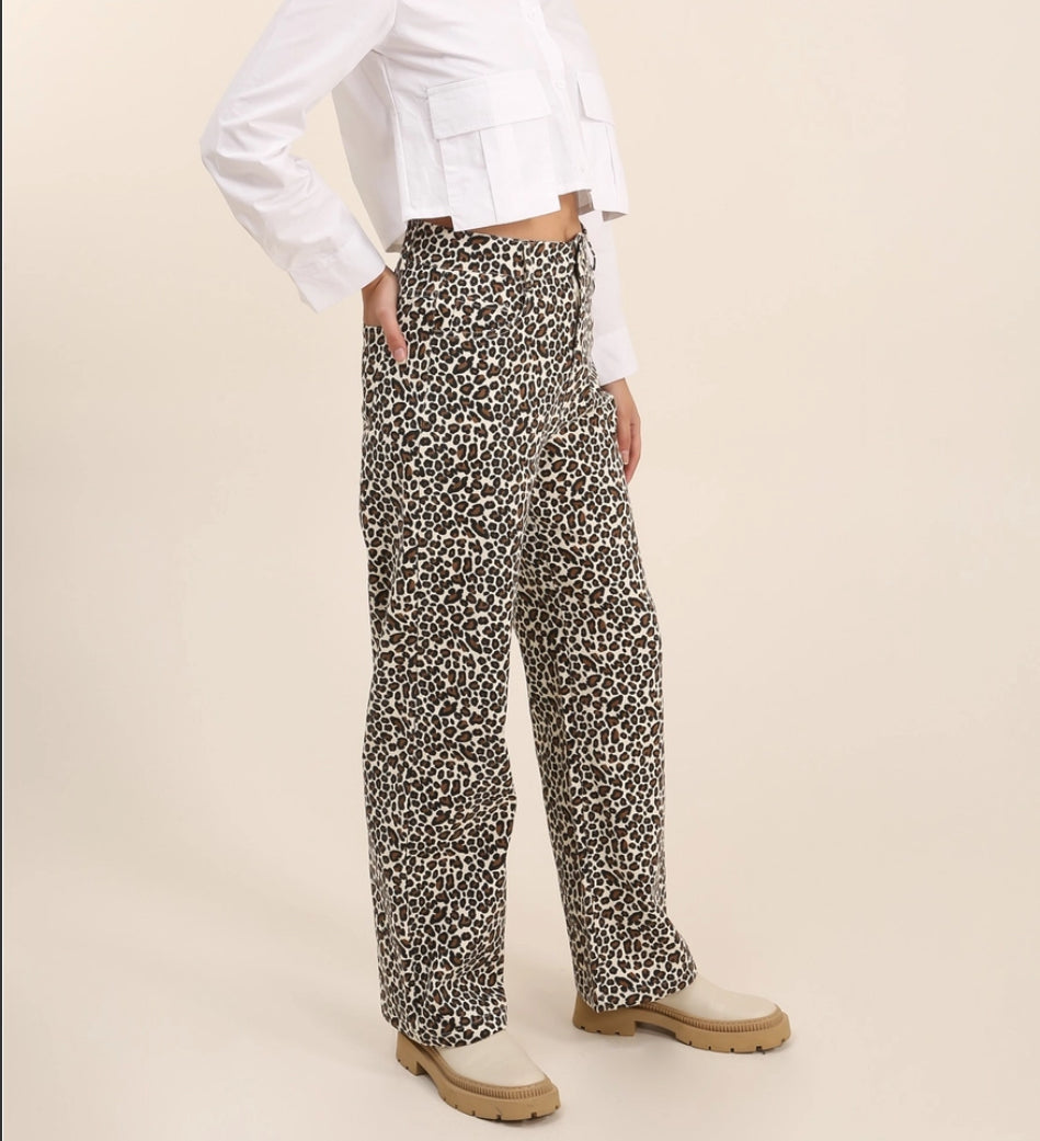 Leopard