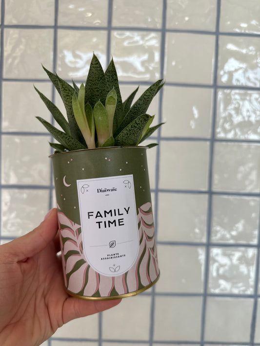 Family time - Aloe