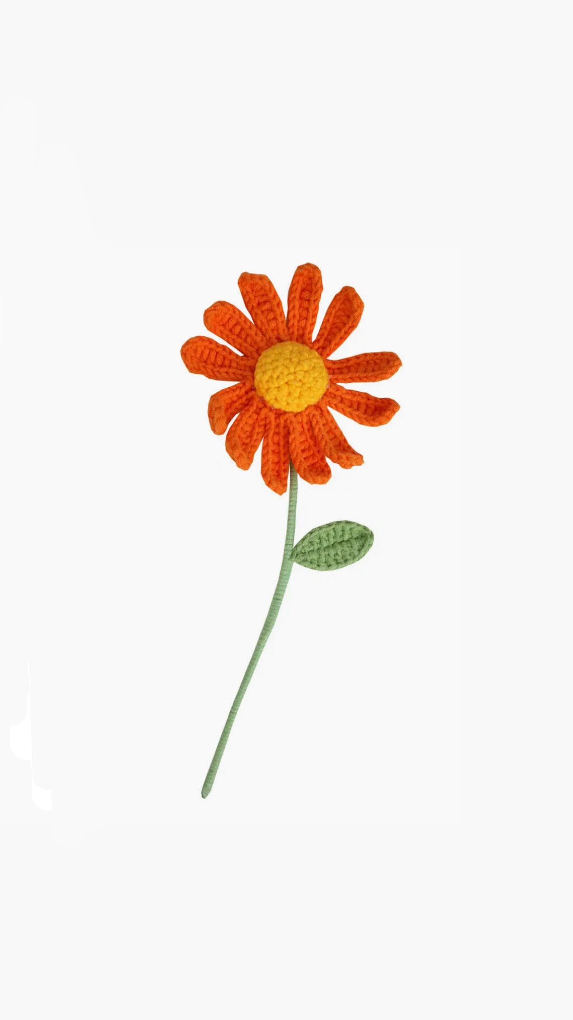 Fiore ucinetto