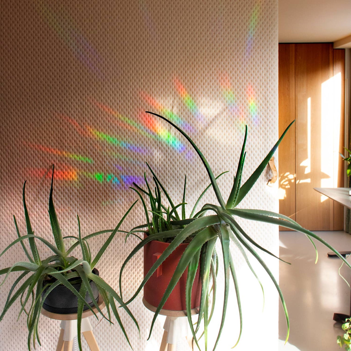 Rainbow Maker - Rallenta