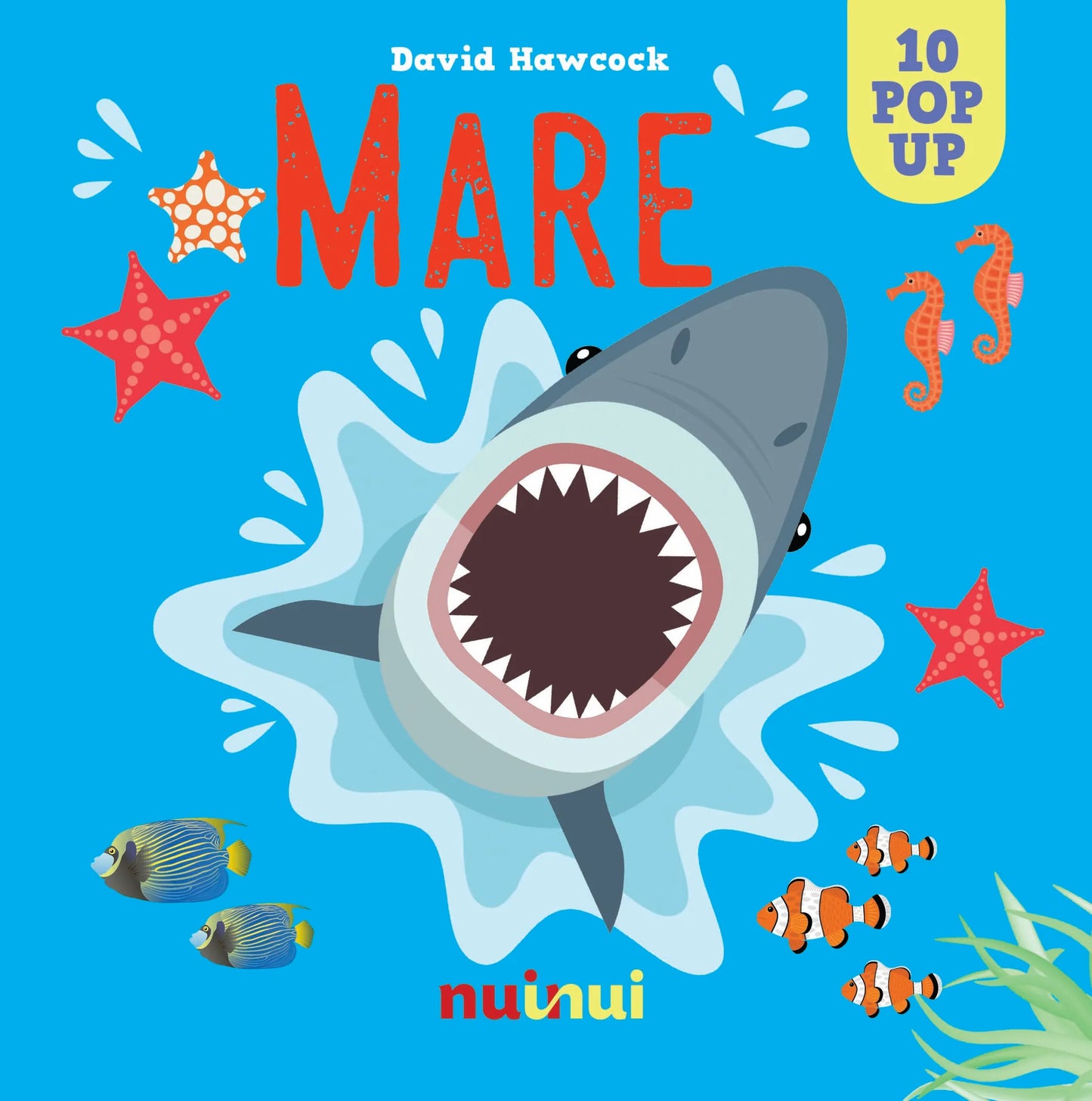 Mare Pop up