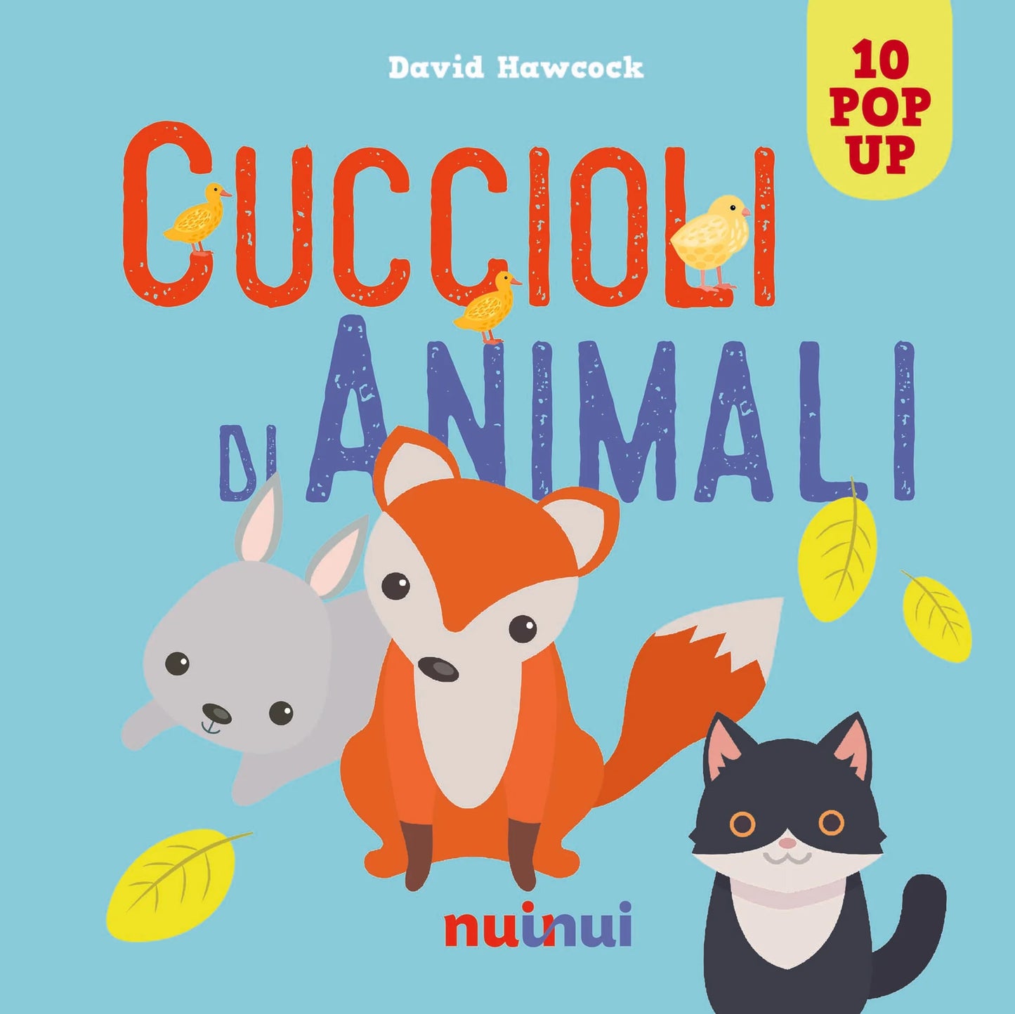 Cuccioli Pop up