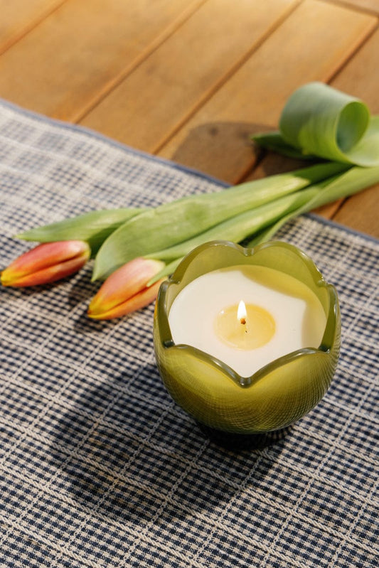 Candela Tulip - Gardenia e Lemongrass