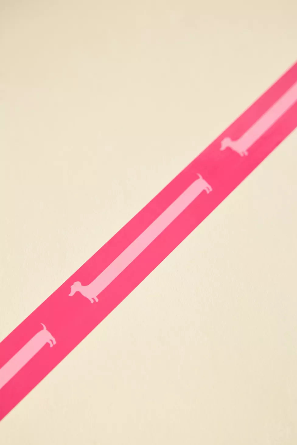 Set Washi Tape e Clips - Bassotto