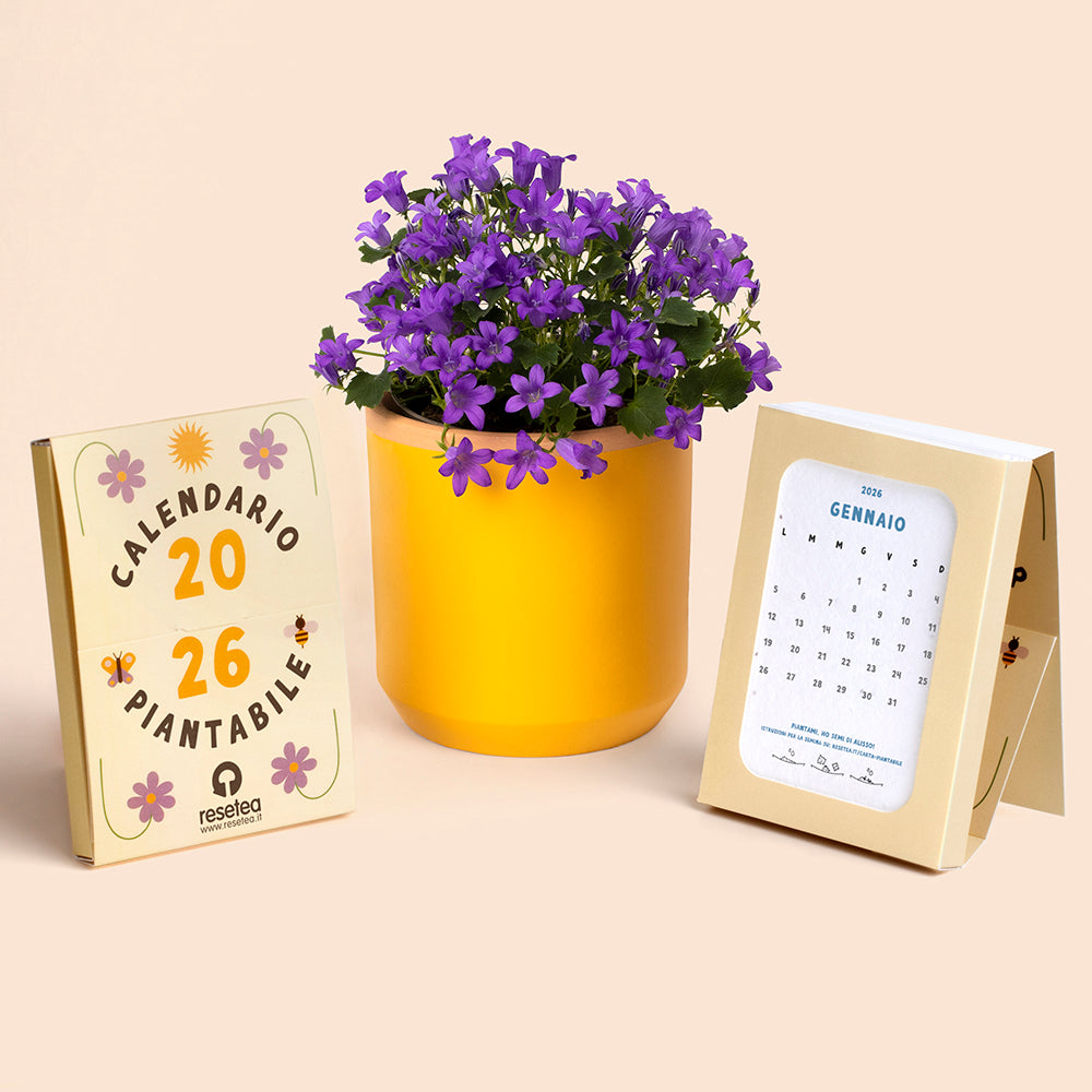 Calendario Piantabile