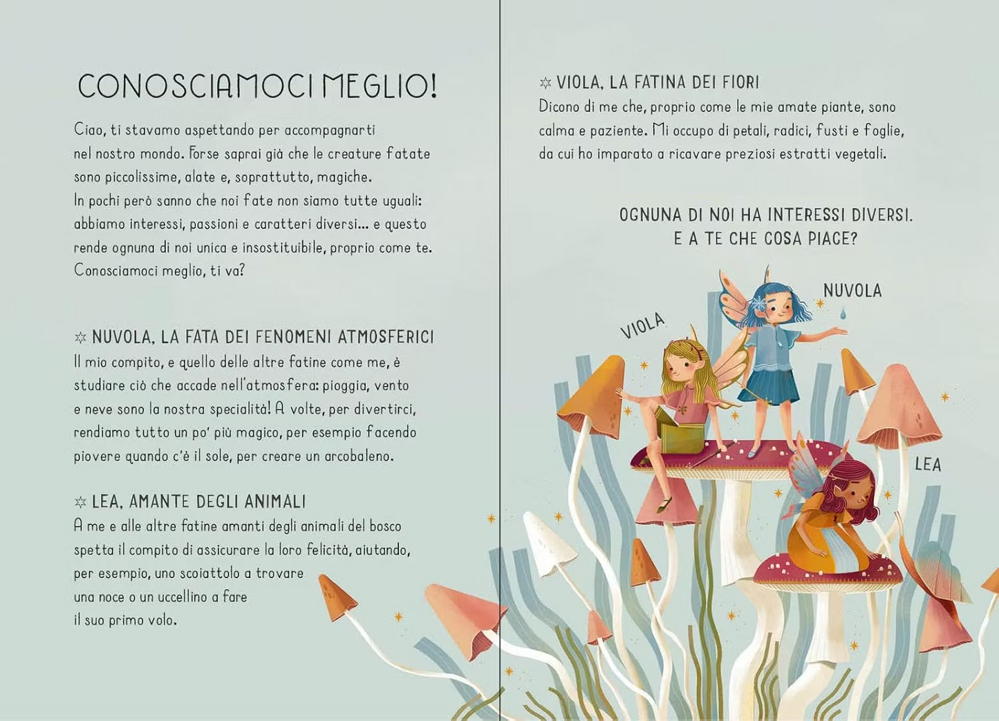 La mia valigetta delle fate