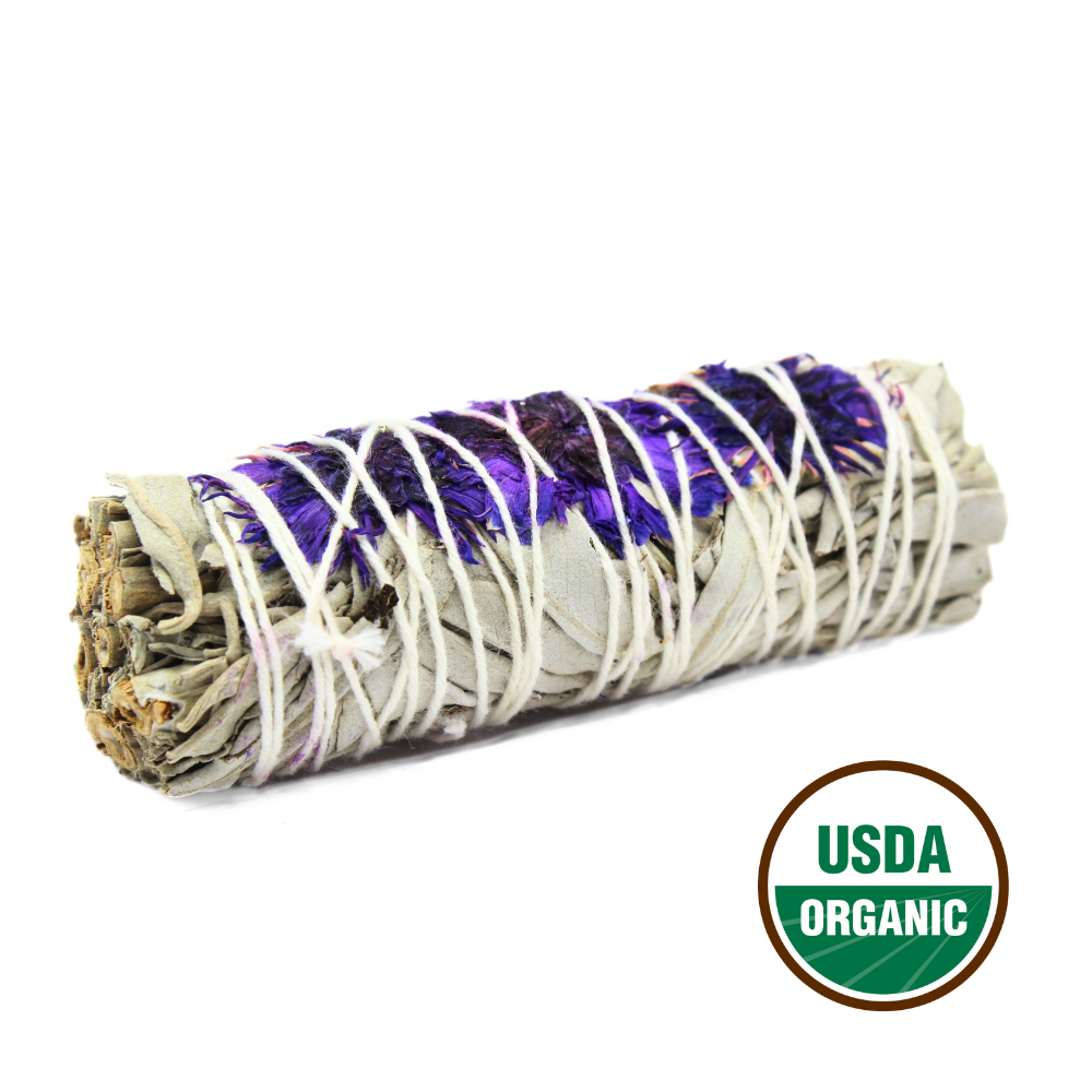 Bastoncino di salvia bianca