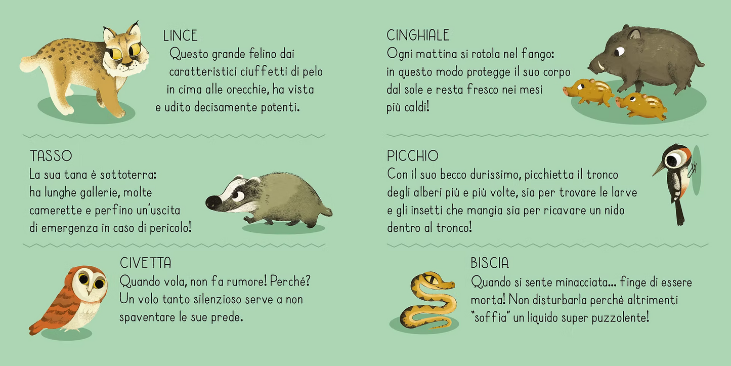 Libro Puzzle - Cerca e trova Foreste