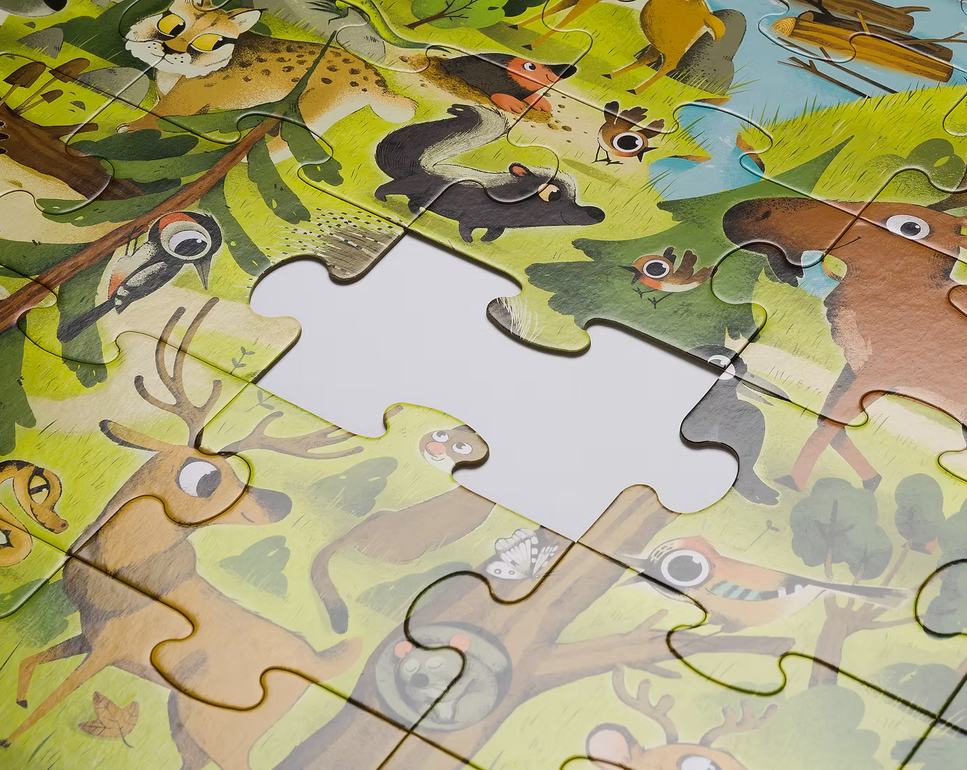 Libro Puzzle - Cerca e trova Foreste