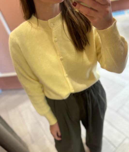 Pull pulcino