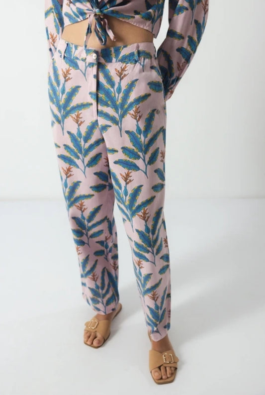 Pantalone Palms