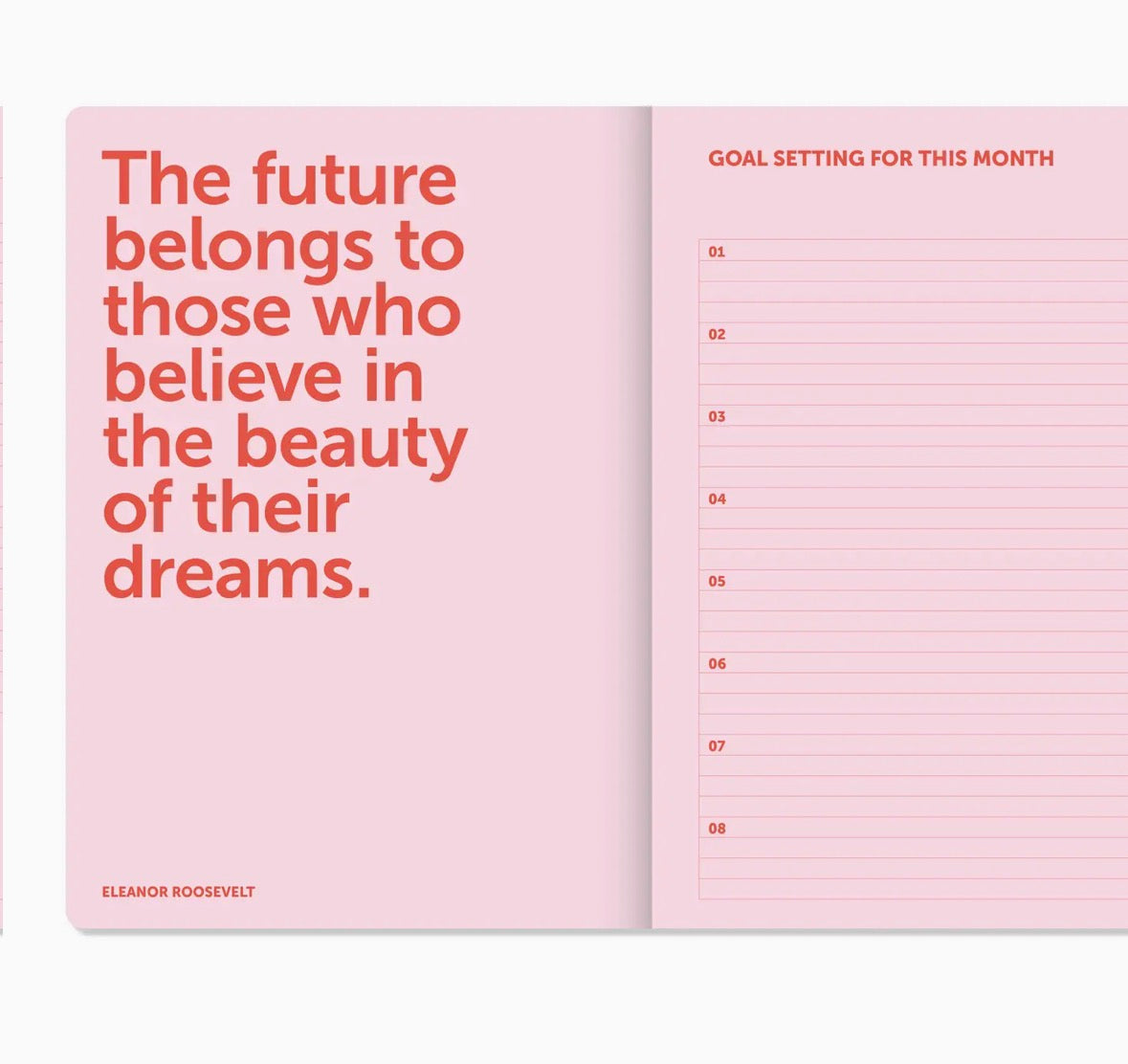 Diario A-Journal a spirale - Organizzatore 2027 - a quadretti rosa e rosso