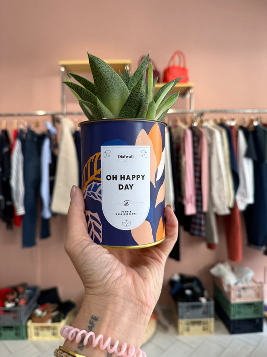 Oh happy day - Aloe