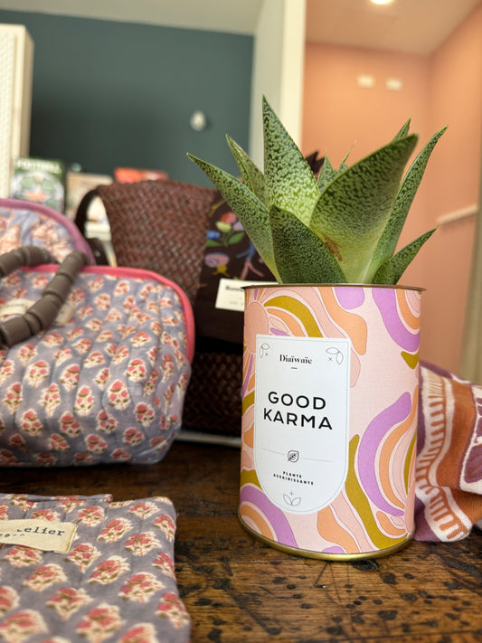 Good Karma - Aloe