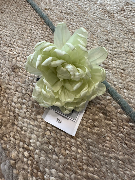Fiore giallo lime